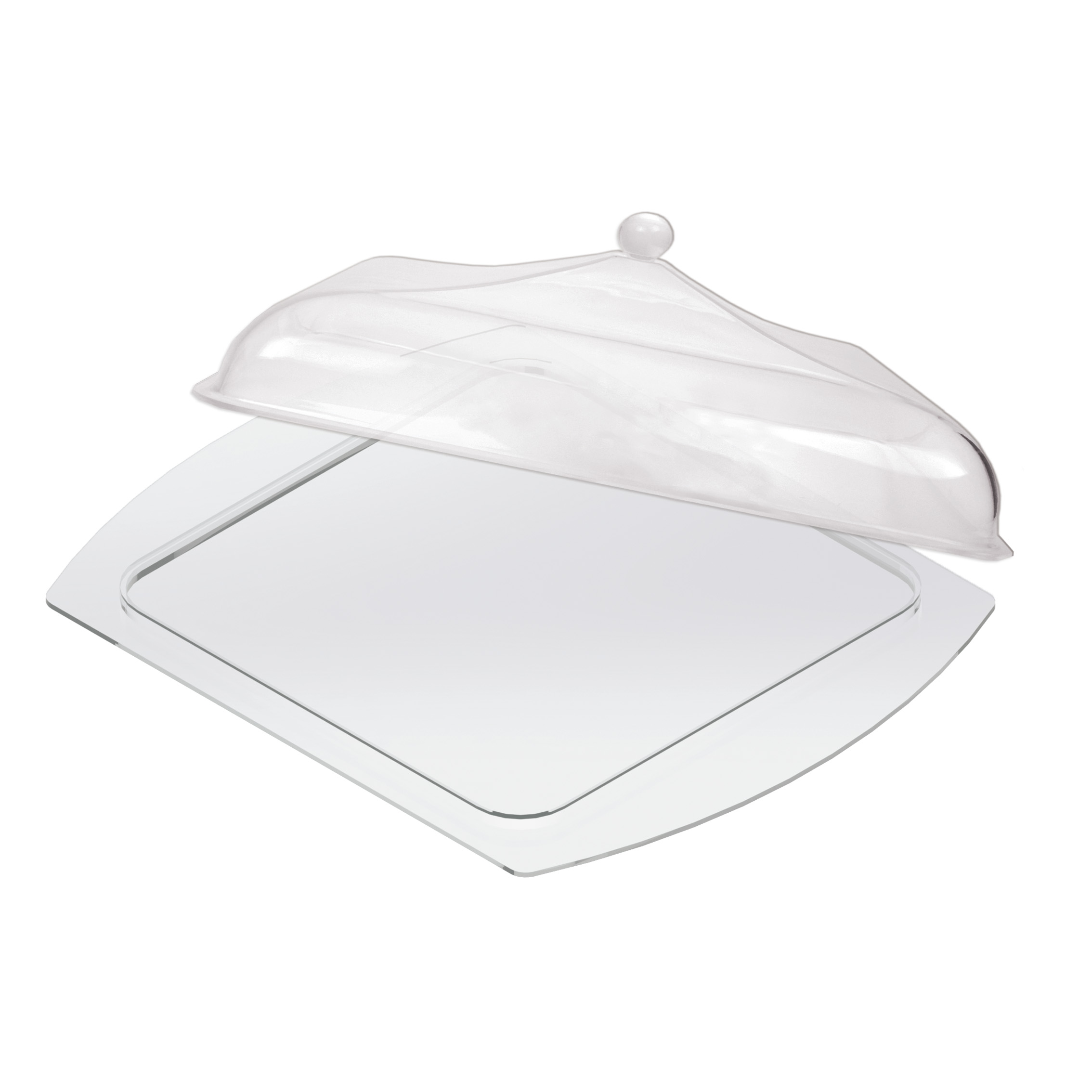 TRAY WITH A COVER